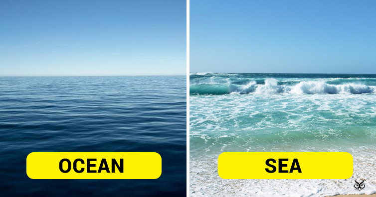 This Is The Difference Between Ocean And Sea I m A Useless Info 