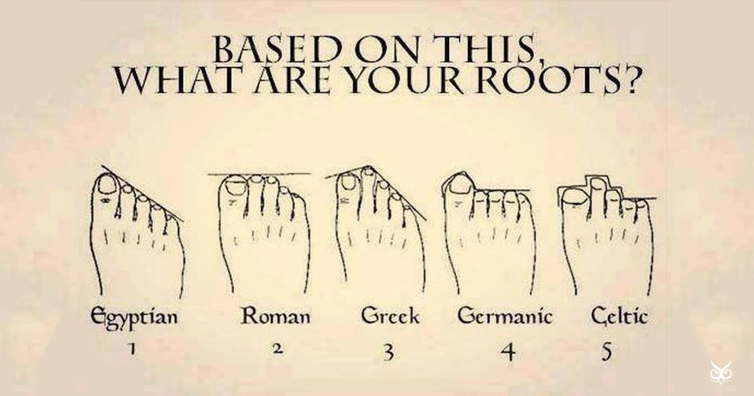 Ancestry Toe Chart
