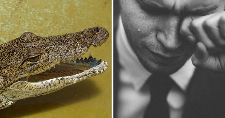 Crocodile Tears: Why Do We Use This Phrase? Origins, History & Meaning