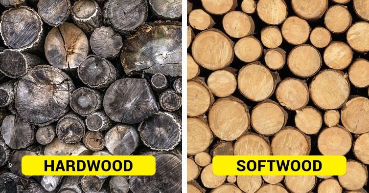 This Is The Difference Between Hardwood And Softwood It Has 