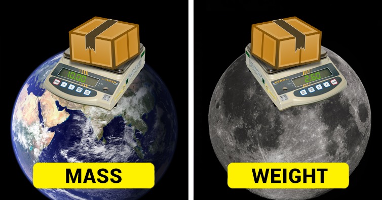 What Is the Difference Between Weight and Mass?